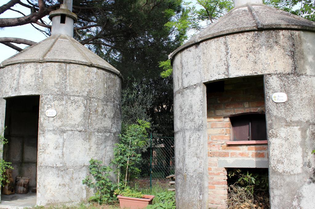 Il Querciolo - Azienda Biologica, Agriturismo E Cantina Marciano della Chiana Eksteriør billede