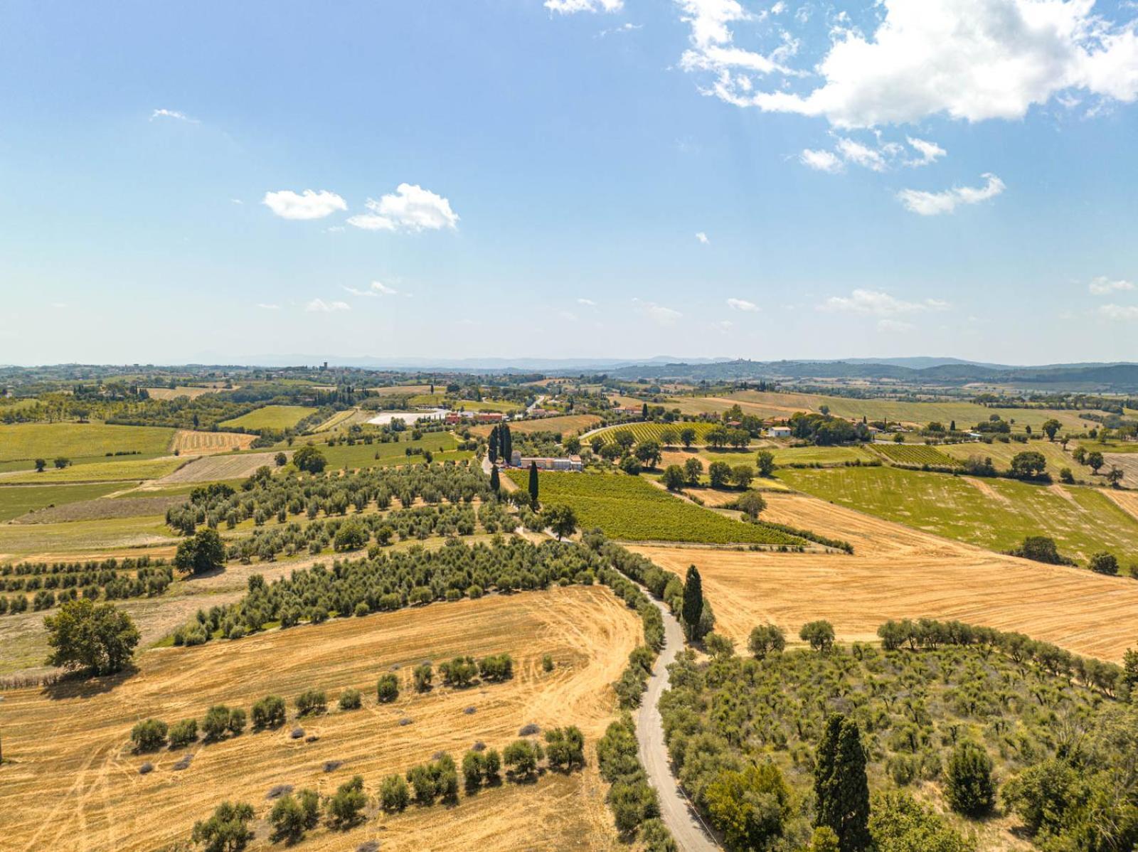 Il Querciolo - Azienda Biologica, Agriturismo E Cantina Marciano della Chiana Eksteriør billede